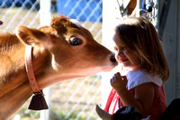 Rochester Fair, Kissing Cow020919-8716-2