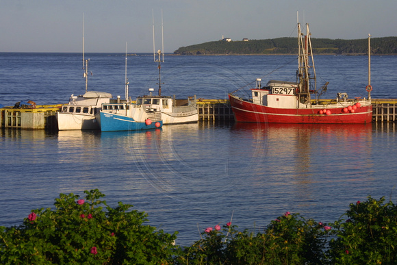 Rocky Harbour, Boats020818-6871