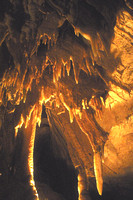 Mammoth Cave NP126-2606a