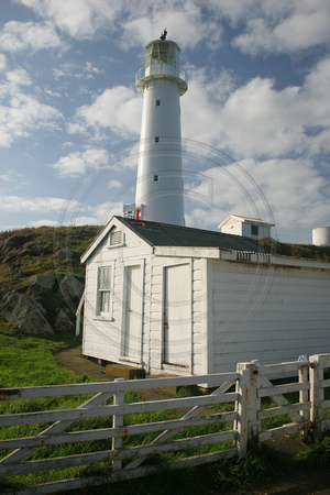 Cape Egmont Lighthouse V0732174