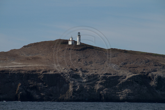 Channel Islands NP, Anacapa Is, Lighthouse140-9315