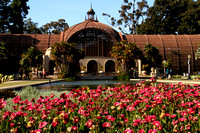 San Diego, Balboa Park, Botanical Gardens1115348a