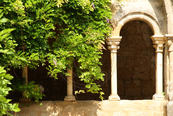 Fontfroide Abbey, Church, Cloisters1033151