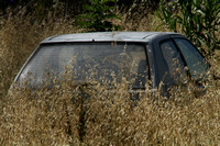 Tortoli, Sardinia, Car in Grass1028340