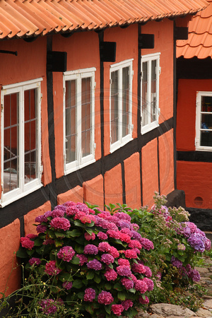 Bornholm, Gudhjem, Bldg, Flowers V1044714
