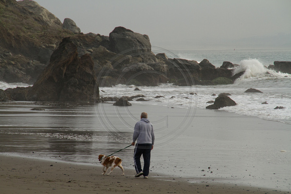 Golden Gate NRA, Muir Beach112-3758