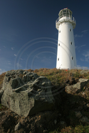 Cape Egmont Lighthouse V0732185