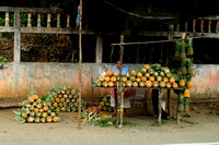 Eastern Guatemala, Roadside Fruit Vendor1117300a