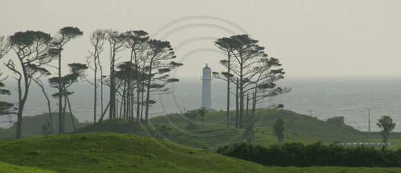 Cape Egmont Lighthouse0732150a