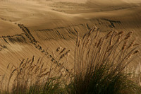 Te Paki Giant Sand Dunes0734380