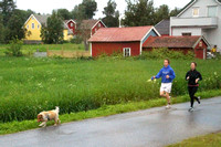 Bodo, Countryside, Runners and Dog1040385a