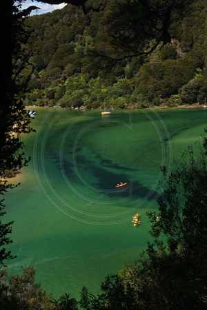 Abel Tasman NP, Abel Tasman Tr, Sandfly Bay V0812483