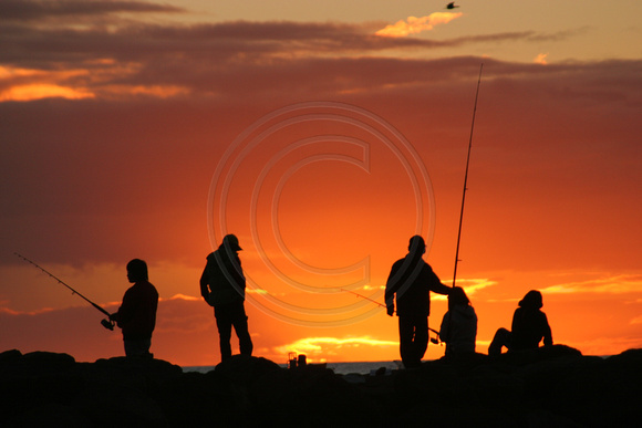 Whakatane, Fishing, Sunset0733877