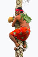 American Samoa, Coconut Climber V0610920a