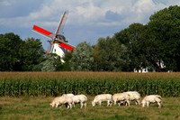 Oostkerke, Windmill1052172a