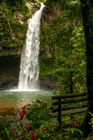 Fiji, Taveuni, Bouma NP, Tavoro Waterfall V0611495
