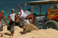 Bora Bora, Workers0688047