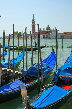 Venice, San Marco Sq, Gondolas V0943221