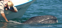 Bahia Magdalena, Whale, Watchers030217-2281a