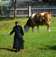 Moldovita Monastery, Nun, Cow030929-0446as