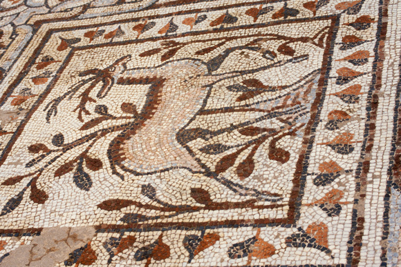 Macedonia, Heraklea, Roman Mosaic S -8465