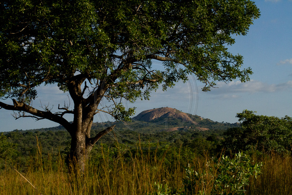Kruger NP, Countryside120-6533