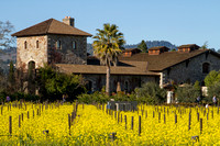 Napa Valley, Rutherford, Santucci Winery130-6233