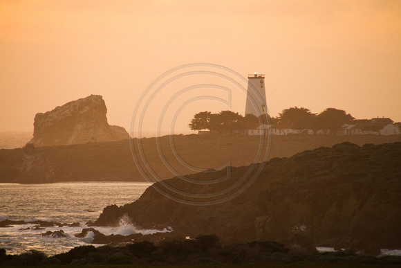 Big Sur Coast, Piedras Blancas, Lighthouse130-6450