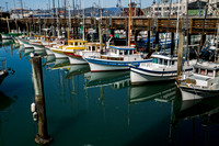 San Francisco, Fishermans Wharf, Marina130-7061
