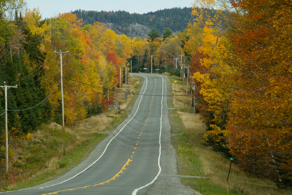 Northern Maine, Rd w Fall Foliage112-1727
