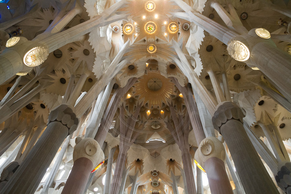 Barcelona, Sagrada Familia, Ceiling, Columns130-8058