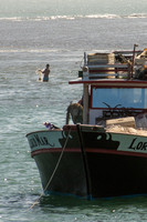 Praia do Forte, Boats151-9396