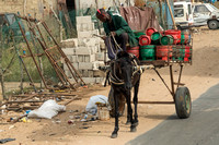 Senegal, Countryside, Donkey Cart151-7999