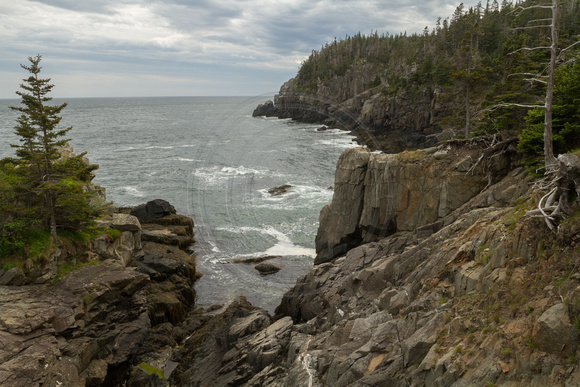 West Quoddy Head, Cliffs131-2011
