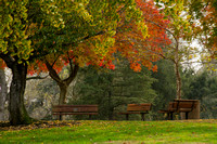 UC Davis, Arboretum112-3847