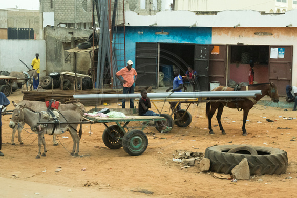 Senegal, Countryside, Donkey Cart151-7993