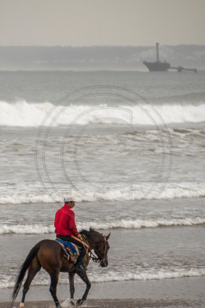 El Jadida, Man on Horse on Beach V151-2809