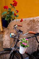 Valencia, Bike and Flowers V151-2207