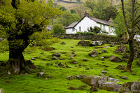 Lake District, Countryside, House131-1143