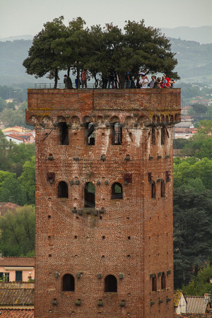 Lucca, Guinigi Tower from Torre del Ore V130-8305