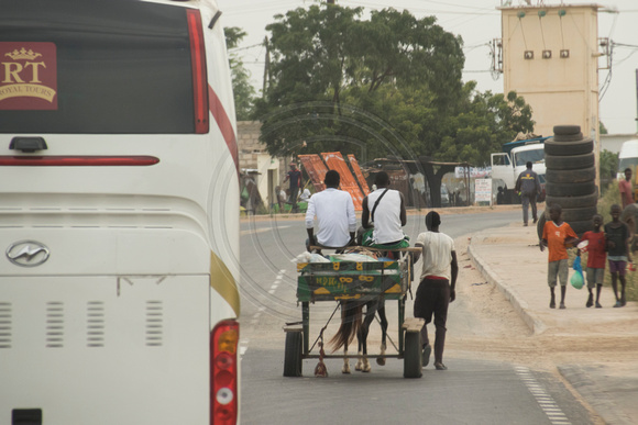 Senegal, Countryside, Donkey Cart151-7981