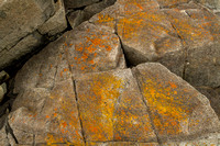 West Quoddy Head, Granite131-1986
