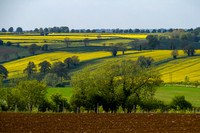 North Oxfordshire, Countryside131-0910
