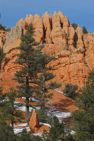 Red Canyon, V0413468