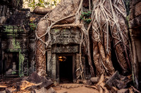 Angkor, Ta Prohm Temple S -8923