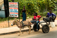 Senegal, Countryside, Donkey Cart151-7984