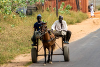Senegal, Countryside, Donkey Cart151-8031