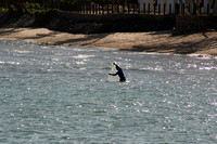 Praia do Forte, Fisherman151-9403
