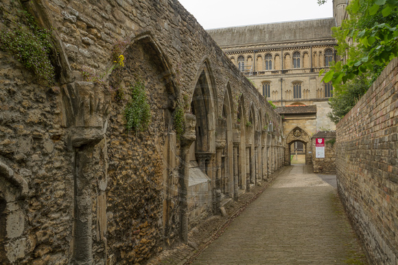 Peterborough, Cathedral131-1704