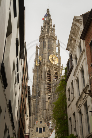 Antwerp, Cathedral V130-9934